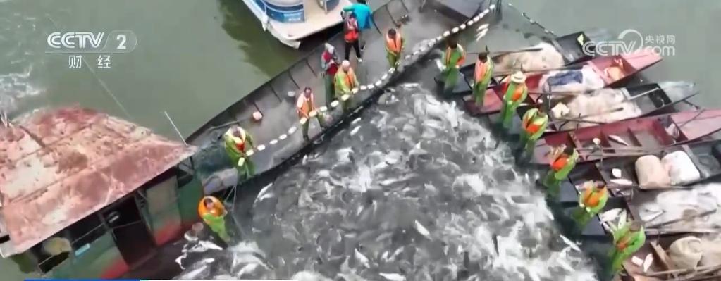 _瓜果飘香、鱼跃人欢 跟随镜头领略祖国各地“火热”的丰收美景_瓜果飘香、鱼跃人欢 跟随镜头领略祖国各地“火热”的丰收美景